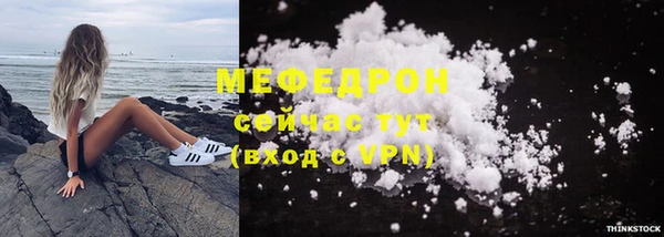молекула духа Вяземский