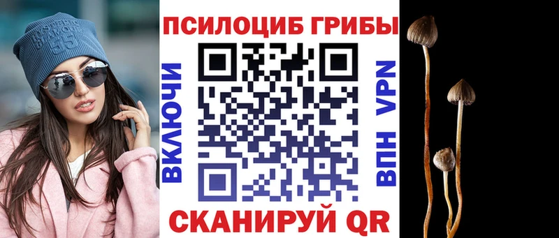 Галлюциногенные грибы прущие грибы  кракен вход  Джанкой 