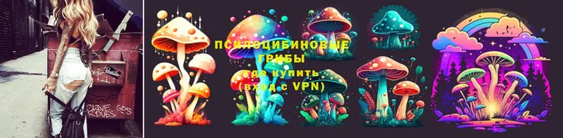 Псилоцибиновые грибы Psilocybe  наркотики  Джанкой 