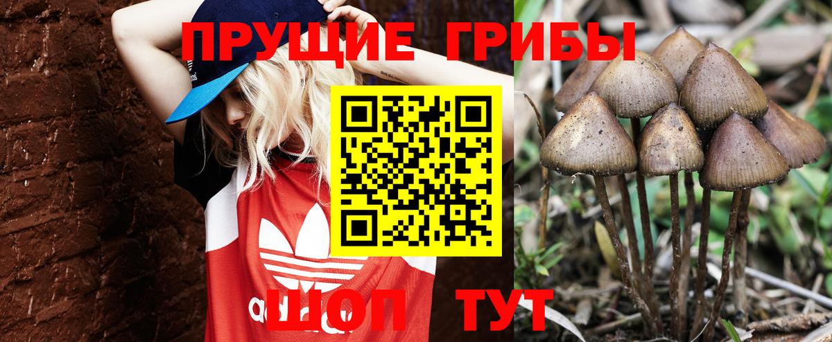Галлюциногенные грибы мицелий  как найти   Псилоцибиновые грибы Psilocybe  Джанкой 