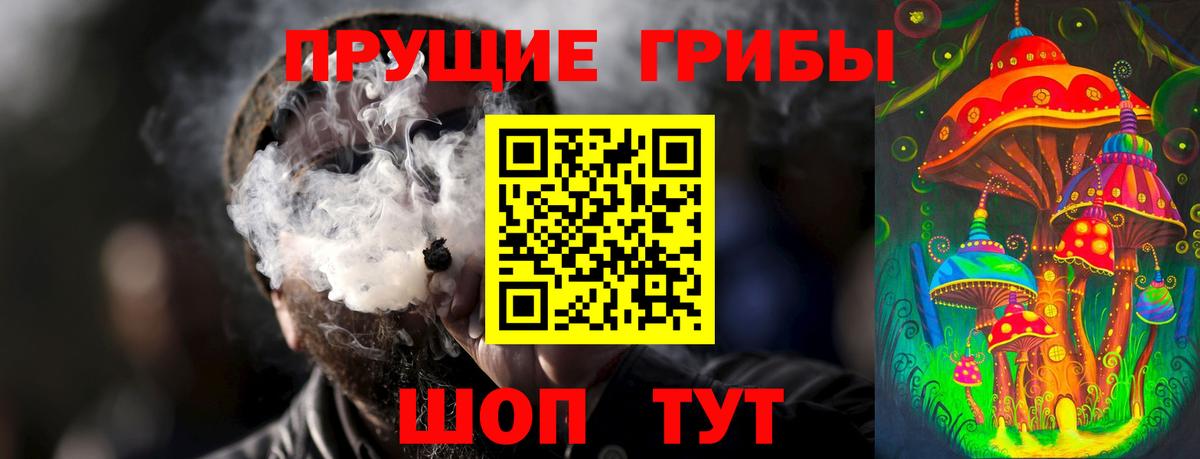 Псилоцибиновые грибы мицелий Джанкой